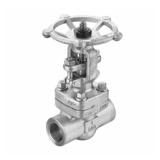 API602 Forged Steel Gate Valve NPT Ends