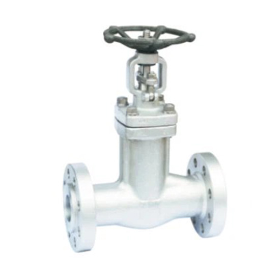 Bellow Sealed Forged Steel Globe Valve