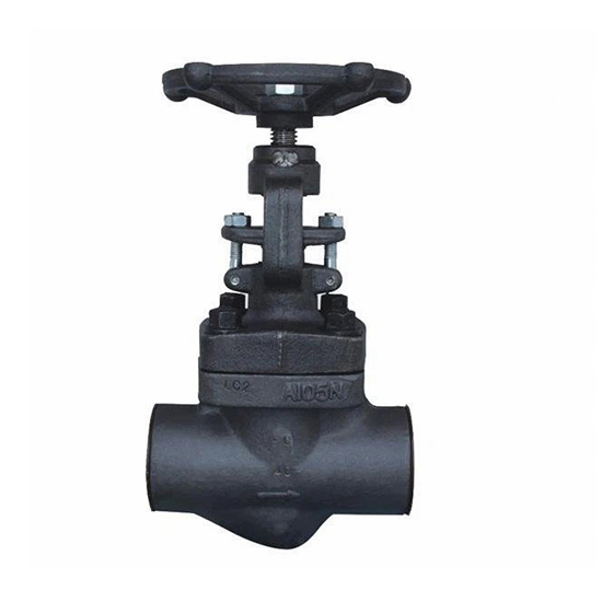 Forged Steel Globe Valves SW Ends