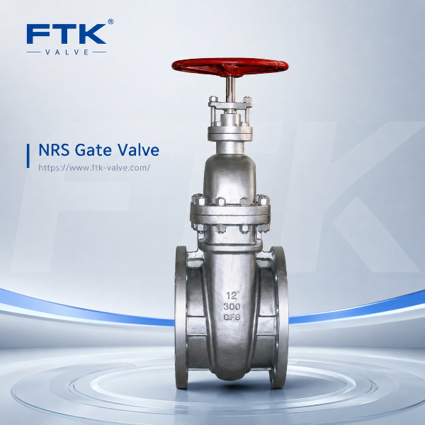 NRS Gate Valve