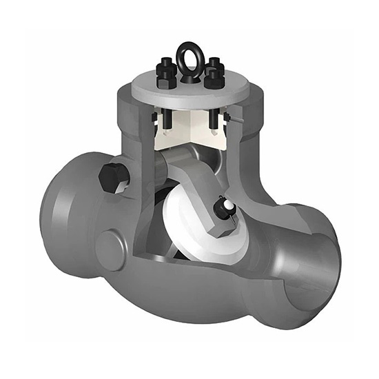 Pressure Seal Bonnet PSB Check Valve