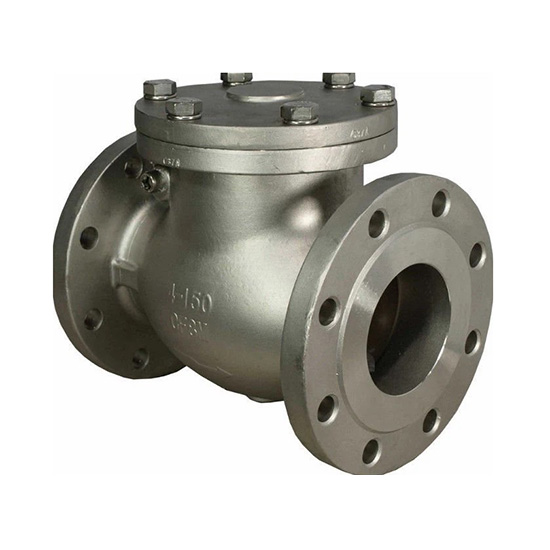 Ss 316 Swing Check Valve