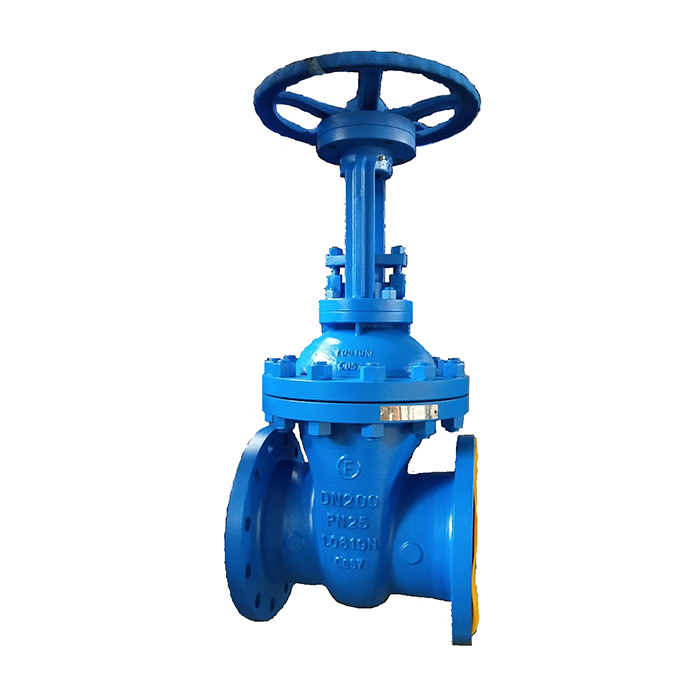 DIN/EN (F5) Gate Valve PN16-PN25 RF