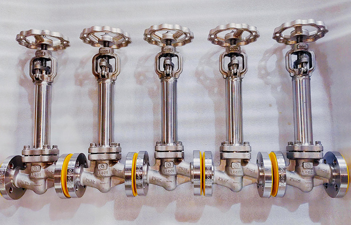 Delivery of Globe Valves for Low Temperature Service